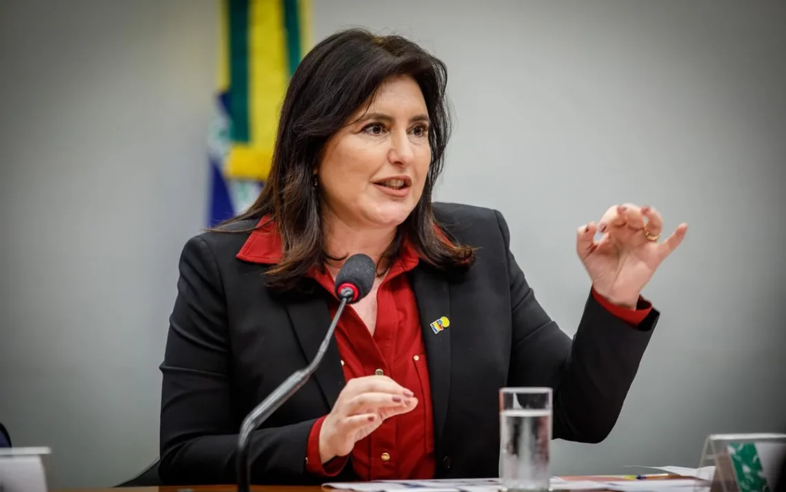 ministra do Planejamento, Simone Tebet