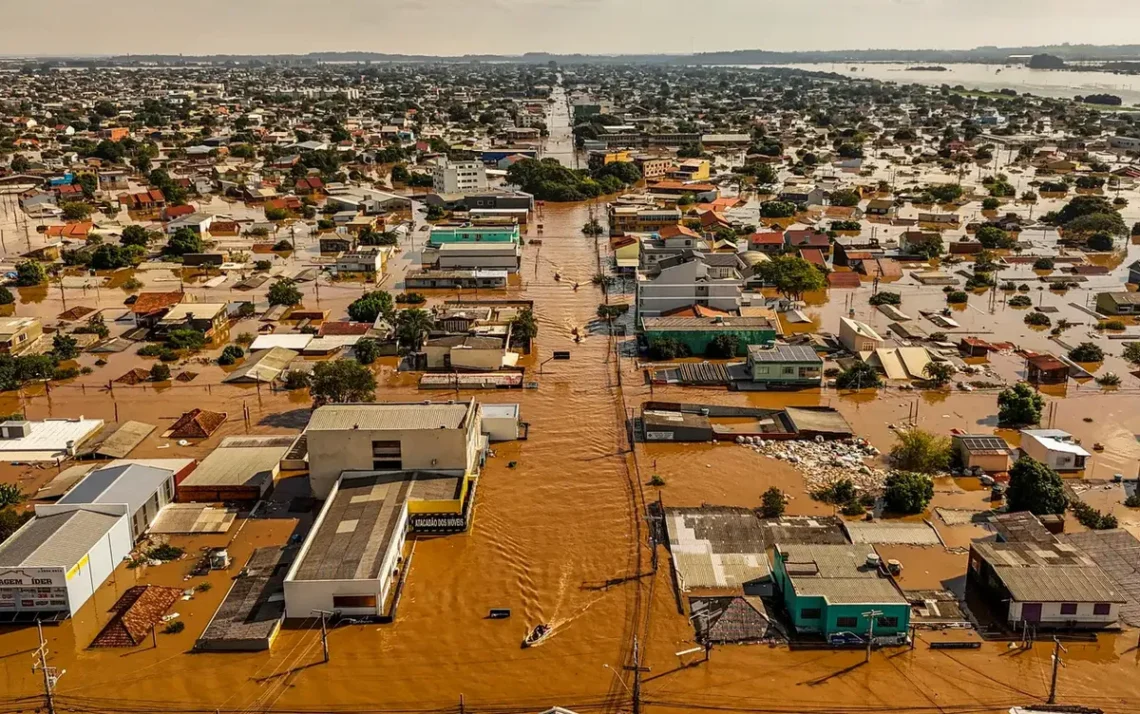 doença, infeciosa, febril, aguda, transmitida, animais;