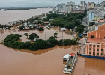 doença, bacteriana, infecção, leptospira, casos, leptospirose;