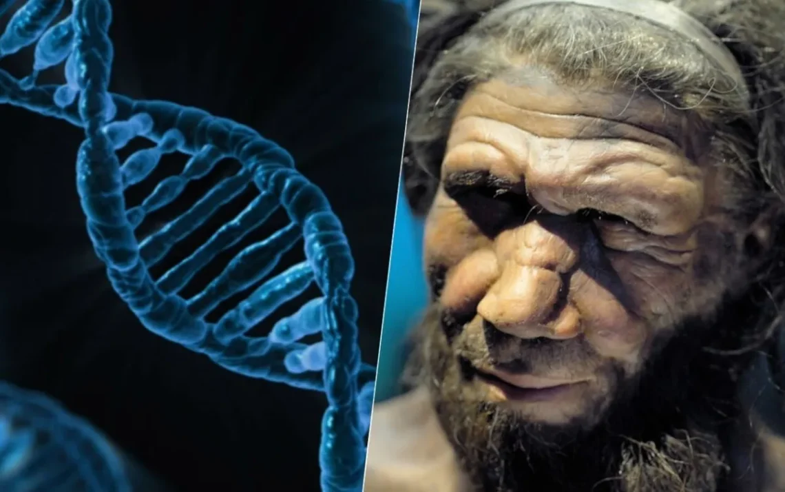 DNA, de Neandertal, genes, de Neandertal, herança, Neandertal;