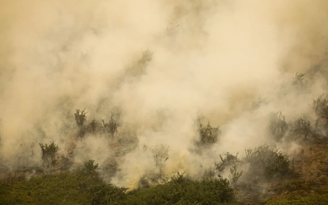 Combate, a Queimadas, Controle, de Fogo, Ações, de Emergência;