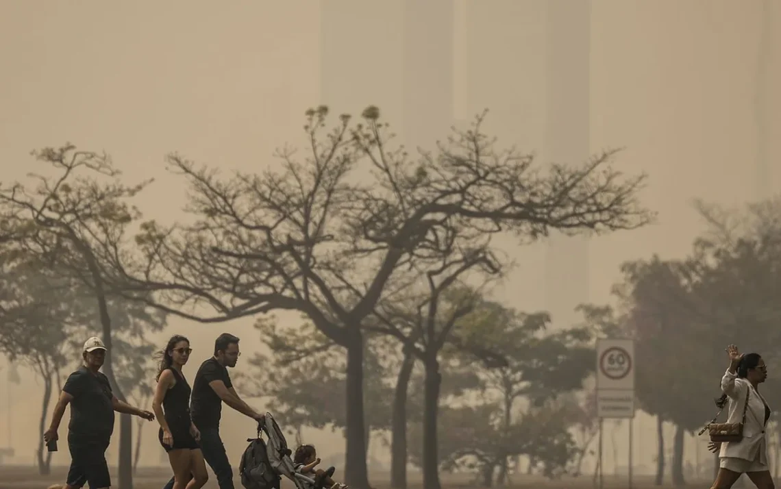 poluentes, neblina;