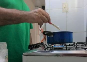 comida, refeição, nutrição;